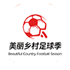 足球邀请赛队标,足球邀请赛图片
