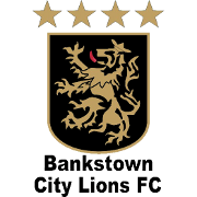 本克斯拓城狮队U20队标,本克斯拓城狮队U20图片
