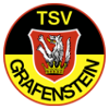 TSV格拉芬施泰因队标,TSV格拉芬施泰因图片